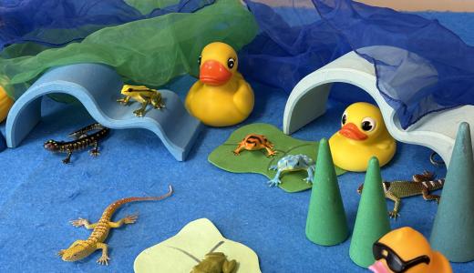 ADNS Toys